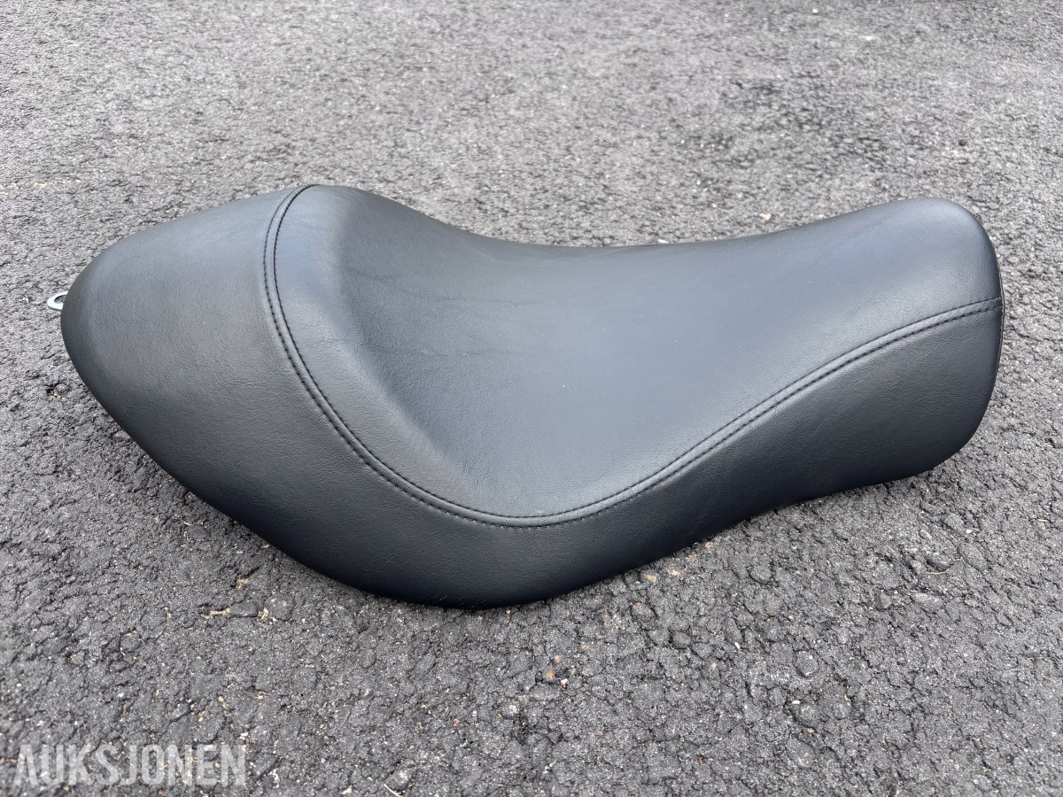 2015 MC - Harley-Davidson XL 883N Iron