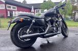 2015 Harley-Davidson XL 883N Iron