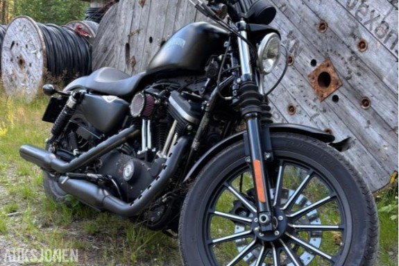 2015 Harley-Davidson XL 883N Iron
