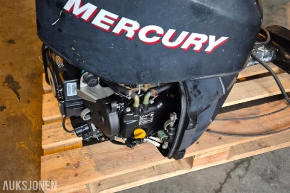 2013 Mercury F25