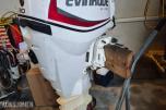 2016 Evinrude 30 E-tec, Lang stamme