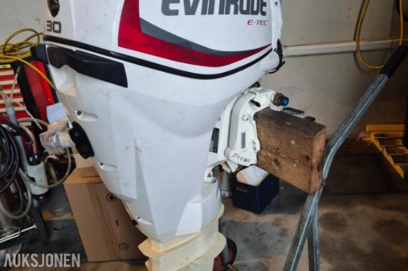 2016 Evinrude 30 E-tec, Lang stamme