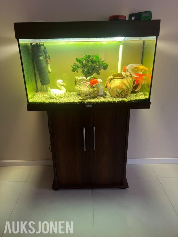 2020 Juwel 150 L Akvarium 