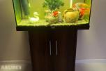 2020 Juwel 150 L Akvarium 