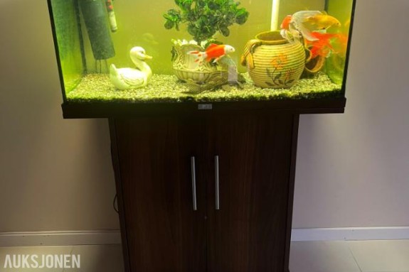 2020 Juwel 150 L Akvarium 
