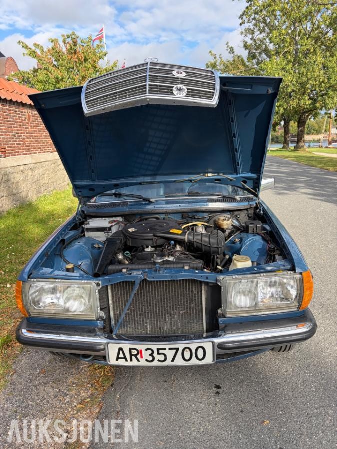 1981 Mercedes-Benz W123 hengerfeste soltak eu ok 08.2031         