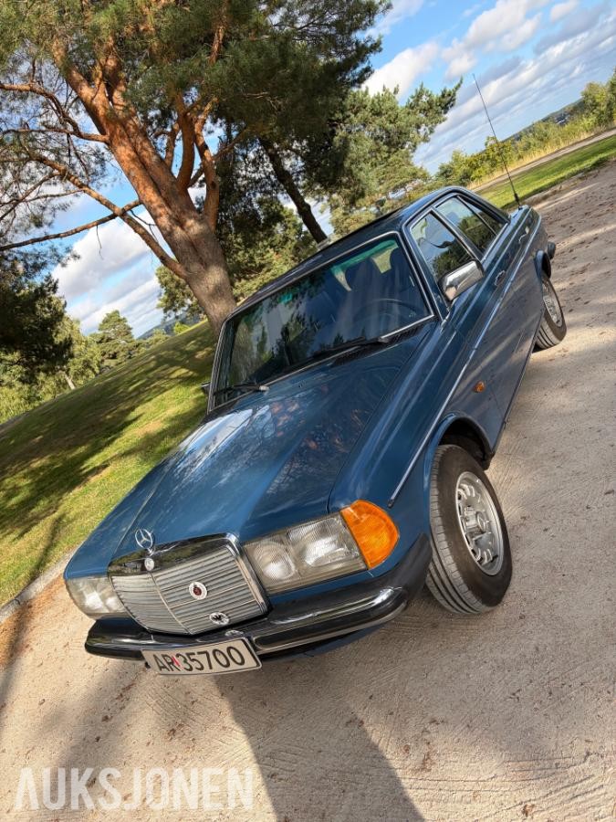 1981 Mercedes-Benz W123 hengerfeste soltak eu ok 08.2031         