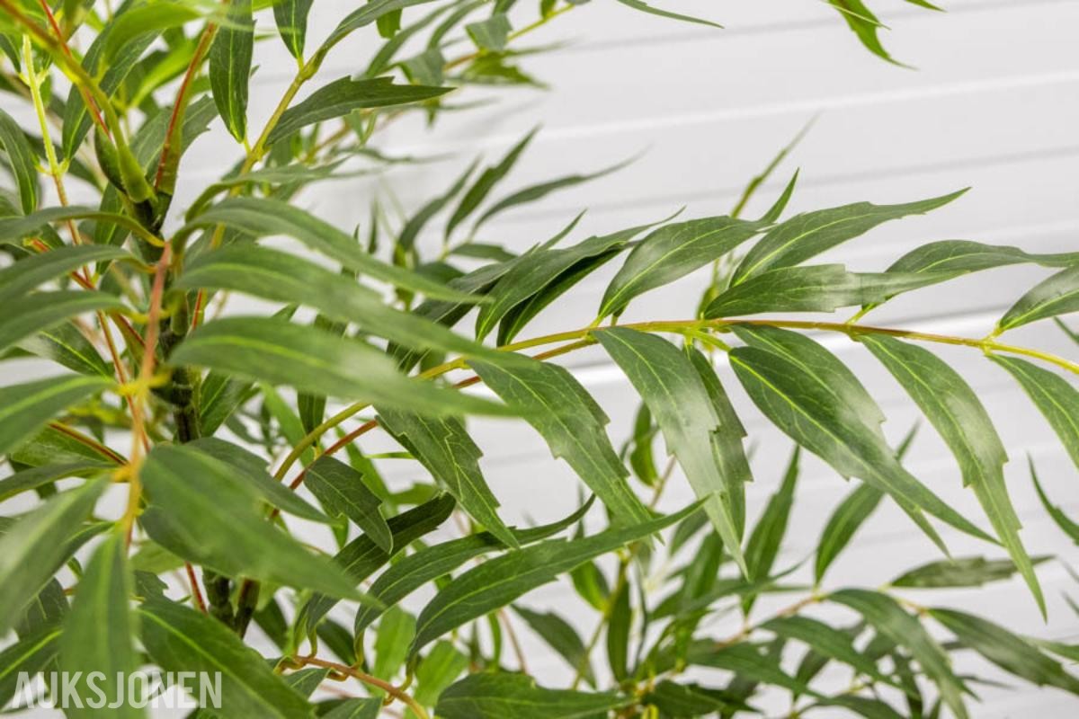 Pakke med 20 kunstige planter – helt nye (2 av 4)