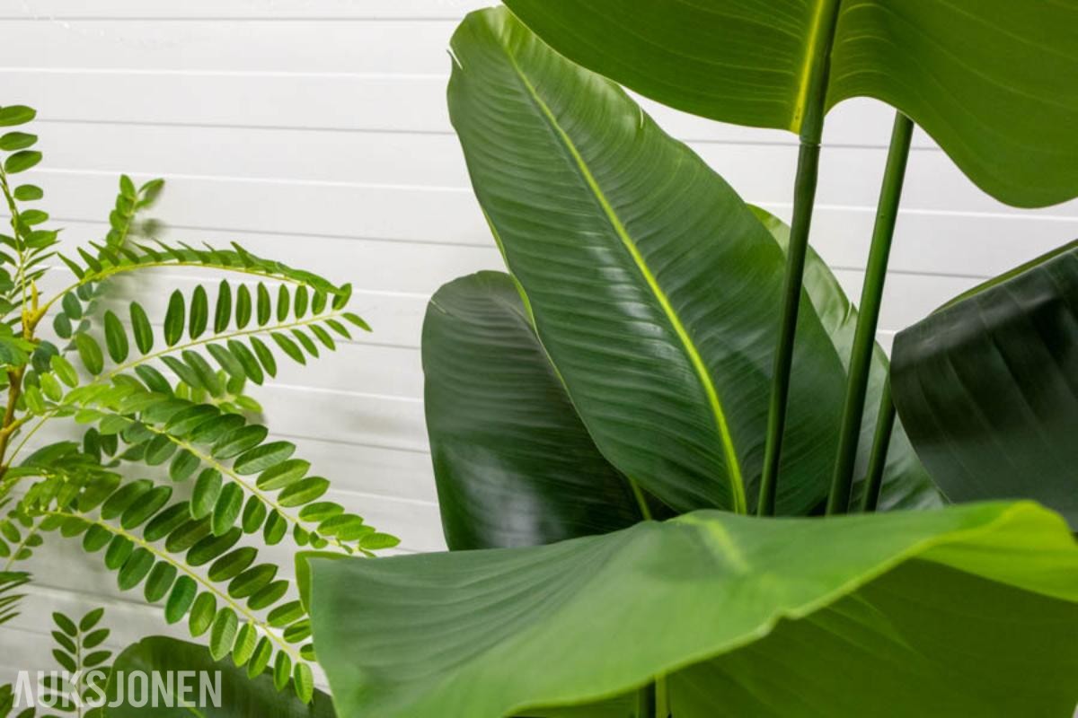 Pakke med 20 kunstige planter – helt nye (3 av 4)