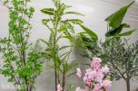 Pakke med 20 kunstige planter – helt nye (3 av 4)