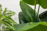 Pakke med 20 kunstige planter – helt nye (3 av 4)