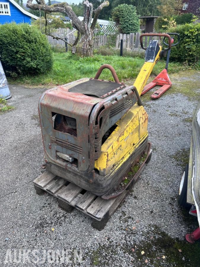 2010 Wacker Neuson DPU 100-70LE Vibroplate