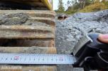 2019 Komatsu PC490LC-11 Beltegraver, 9128 t, pigghammer, ripper, 2 skuffer