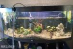 2020 Juwel Vision 450L Akvarium *ingen minstepris*