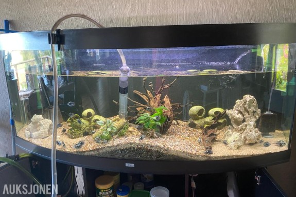 2020 Juwel Vision 450L Akvarium *ingen minstepris*