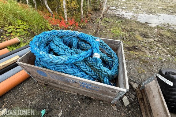 Palle med tau