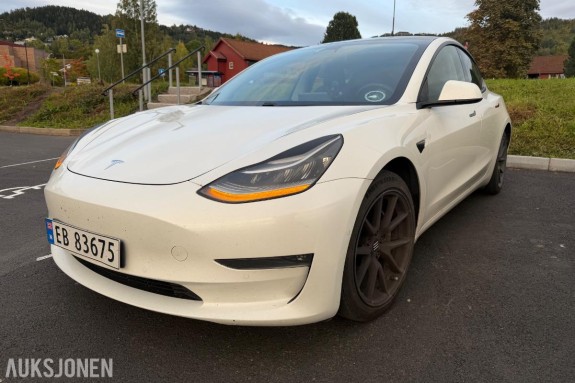 2020 Tesla Model 3 Long Range AWD Adaptiv cruisekontroll, Ryggekamera, Hengerfeste