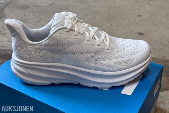 Hoka, ON, Adidas, New Balance, Mizuno Diverse Sko totalt 16 par