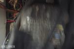 Aquatron 19 fot - renovert motor - henger