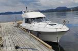 1997 Viksund 270 St. Cruz Fly