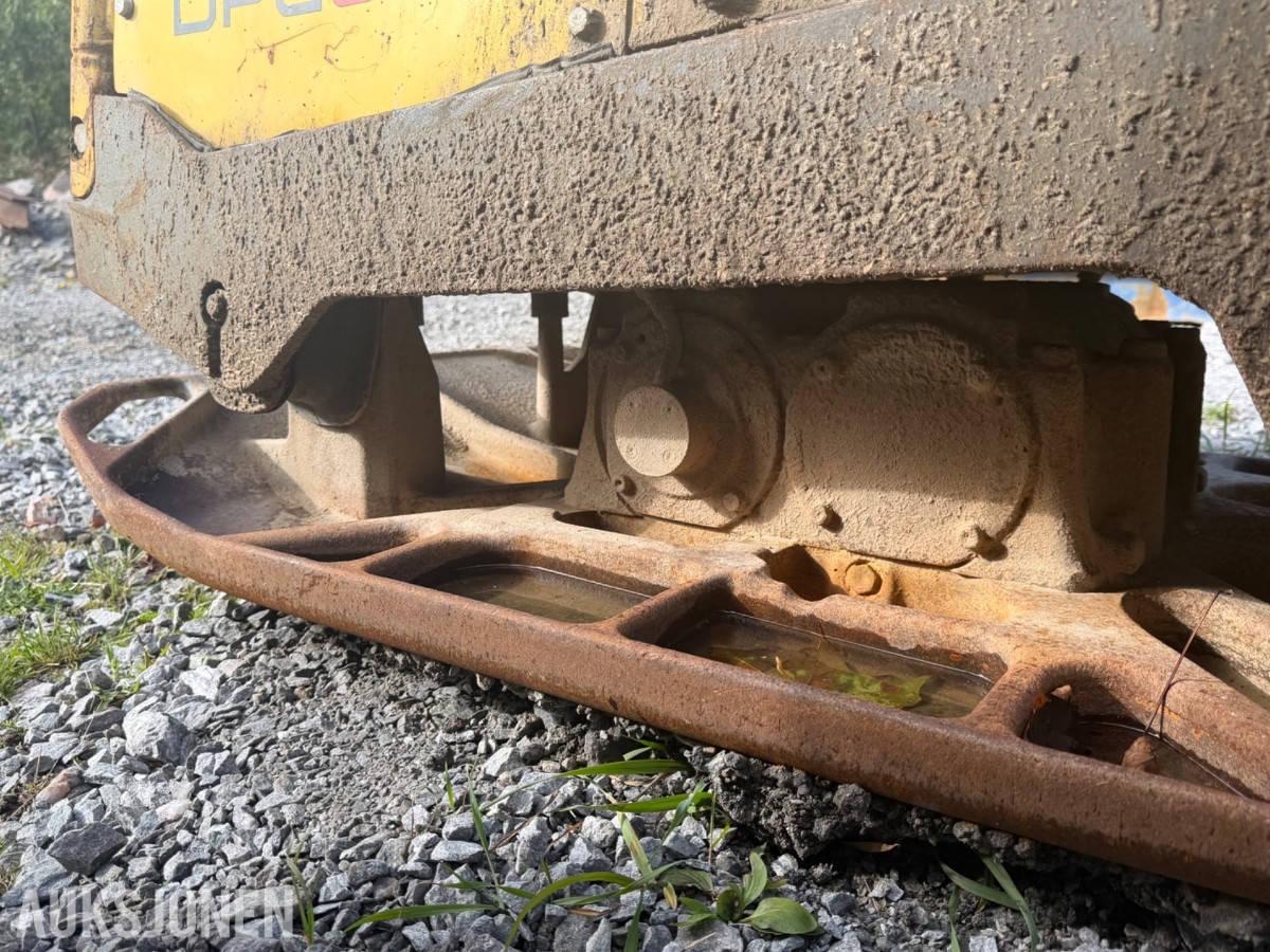 Wacker Neuson DPU80 vibroplate