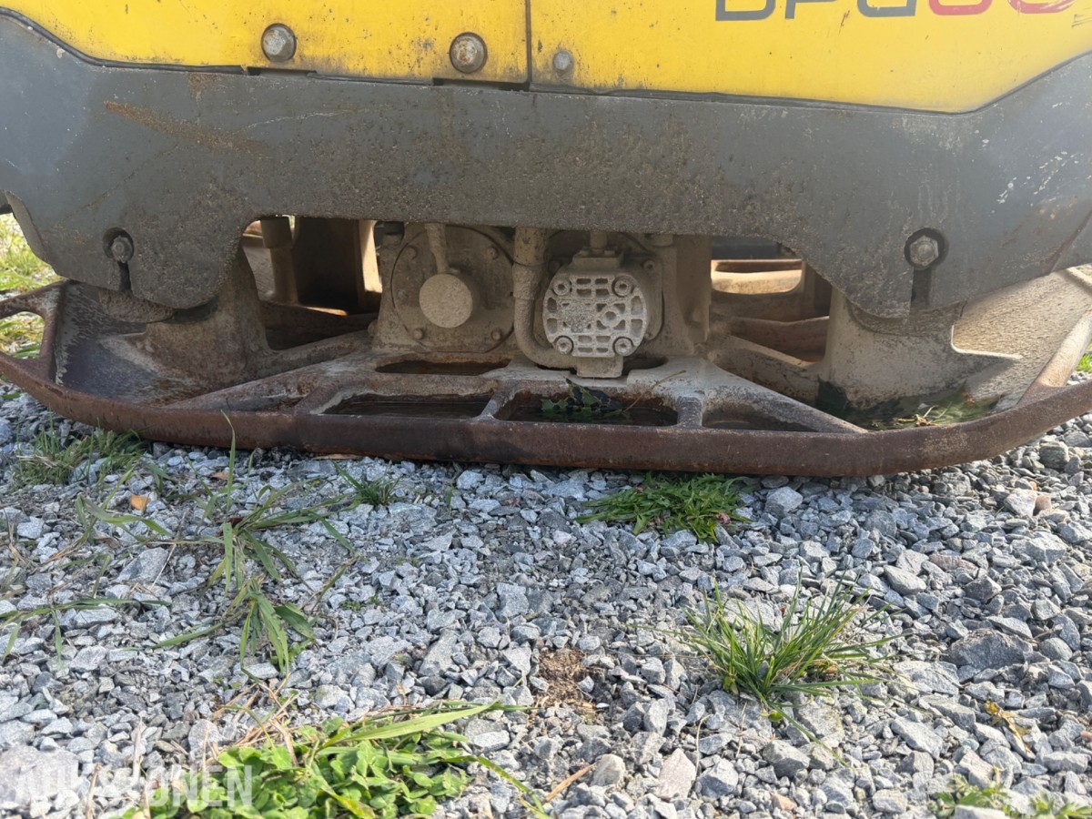 Wacker Neuson DPU80 vibroplate