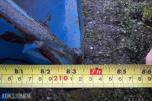 Tippcontainer for truck 1500x2100 mm med lokk