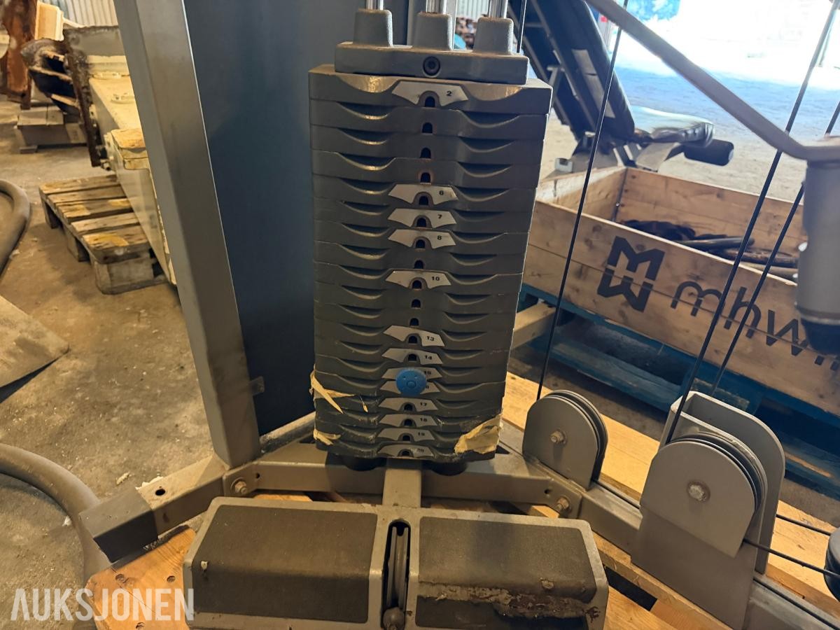 PARTI MED TRENINGSMASKINER OG VEKTSKIVER – LIFE FITNESS, NAUTILUS OG PRO-FORM