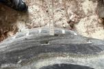 Continental - 2 stk. 505/50R17 dekk til landbrukshenger