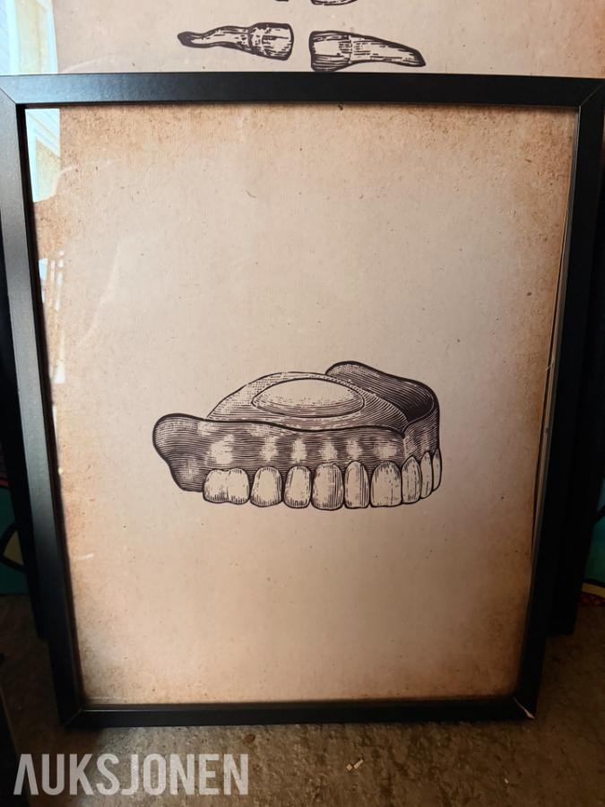 2025 Kunstsamling bilder med tannlege-/dentalmotiv selges samlet