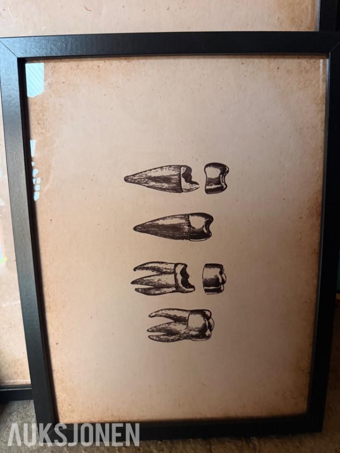2025 Kunstsamling bilder med tannlege-/dentalmotiv selges samlet