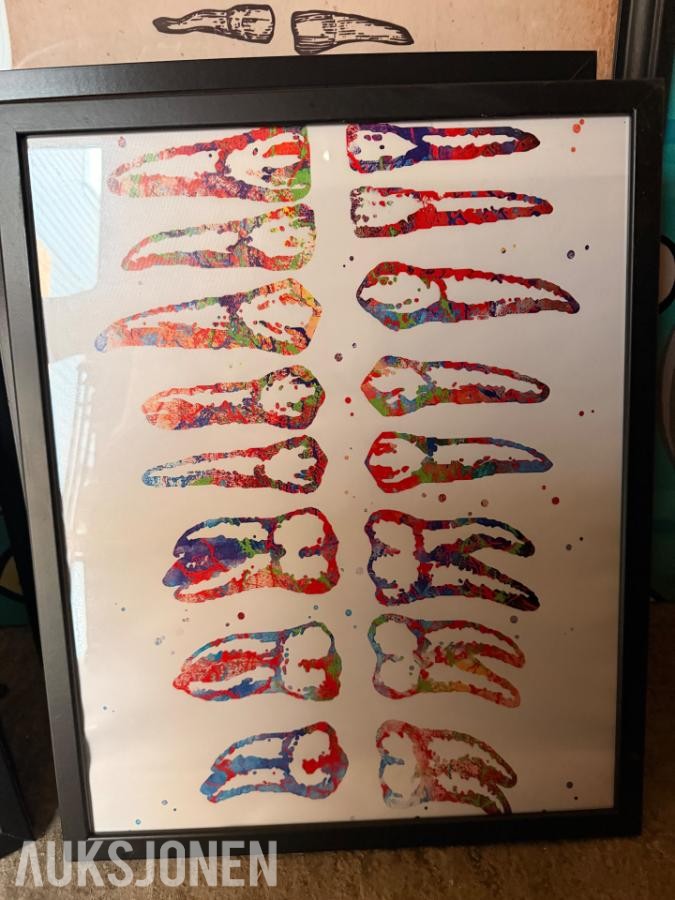 2025 Kunstsamling bilder med tannlege-/dentalmotiv selges samlet