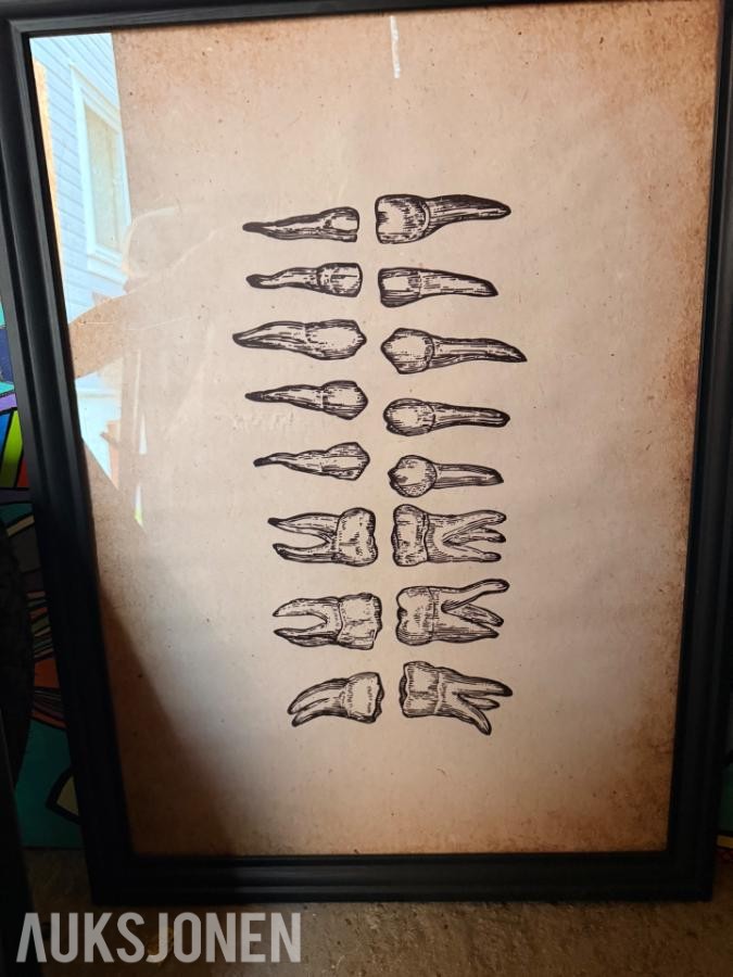 2025 Kunstsamling bilder med tannlege-/dentalmotiv selges samlet