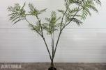 Kunstig Plante - Bambuspalme 210 cm *Ingen minstepris*