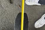 2026 5 tonn Pallegaffel – 2 meter - Mekanisk pallegaffel