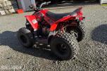 Can-Am DS 90 ATV For Barn - Automat
