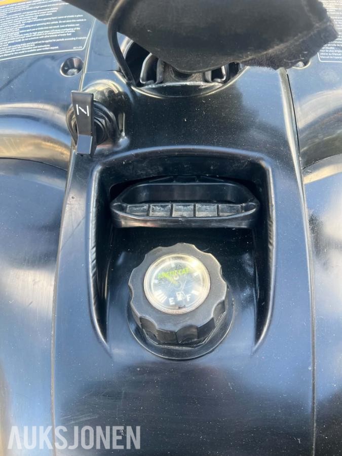 2009 Arctic-cat Bearcat 570 - Snøscooter