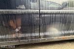 2010 Volkswagen CADDY 1.9-105 D 4MOTION / H.feste / S+V 
