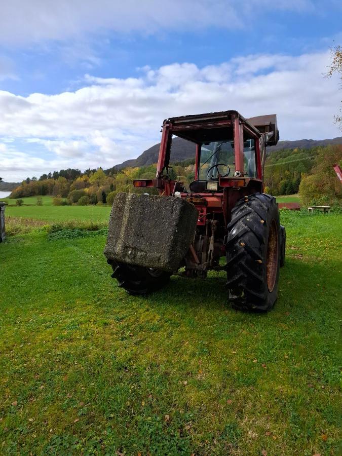 Massey Ferguson traktor m/ Bergsjö frontlaster og skuffe