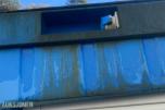 2015 Container 20 fot - mva fri 