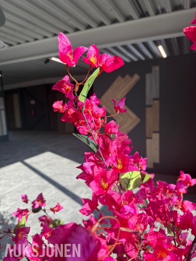 Kunstig plante 4 stk. - Bougainvillea med blomster – 180 cm