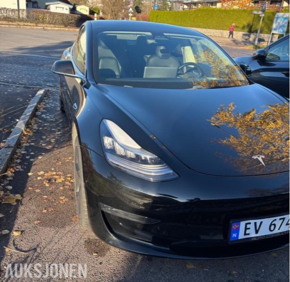 2019 Tesla Model 3 LONG RANGE AWD EN EIER