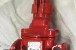 2022 Belgicast infinity gate valve Fluid G1