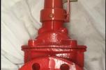 2022 Belgicast infinity gate valve Fluid G1