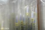 Costar  Costar Stripette engangspipetter 1 mL 100 pose - 1000 pipetter
