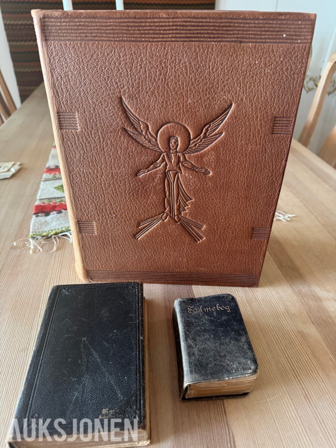 GAMMEL ILLUSTRERT FAMILIEBIBEL og SALMEBOK
