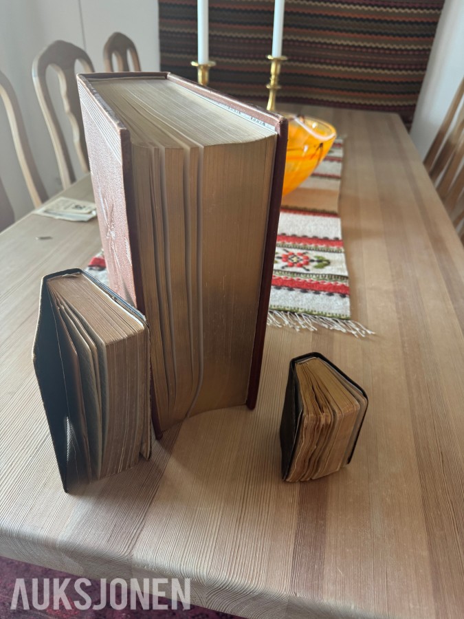 GAMMEL ILLUSTRERT FAMILIEBIBEL og SALMEBOK