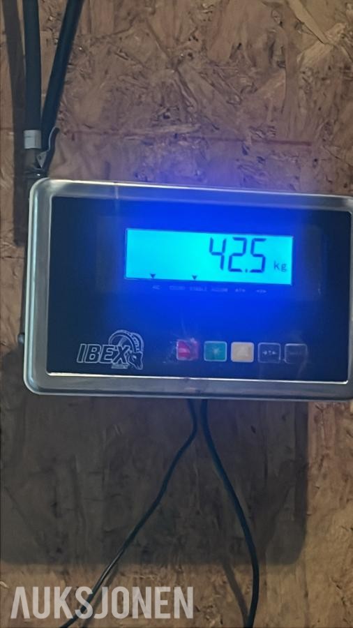 mynter fra mange forskjellige land 