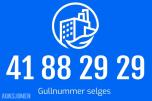 Gullnummer: 41 88 29 29 