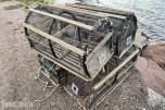 4 Stk Hummerteiner